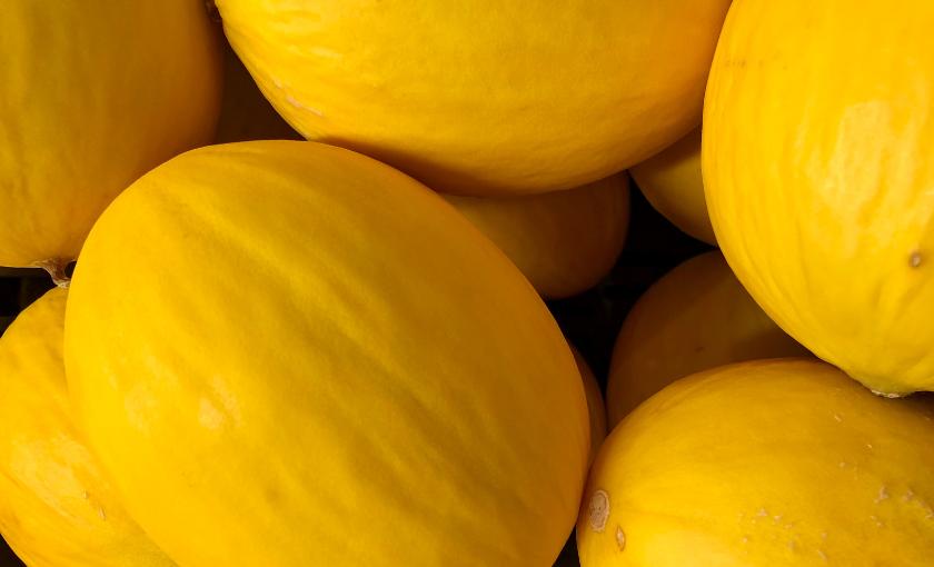 melon żółty
