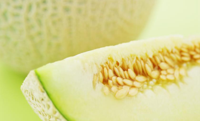 melon zielony