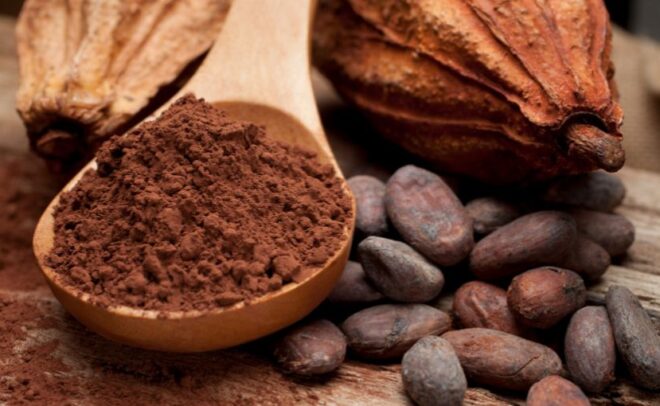 sproszkowane kakao na drewnianej łyżeczce w otoczeniu ziaren kakaowce
